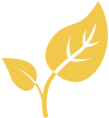 7 PLANT EXTRACTS