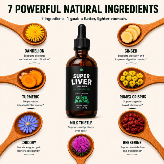 Super Liver | Get a flatter stomach