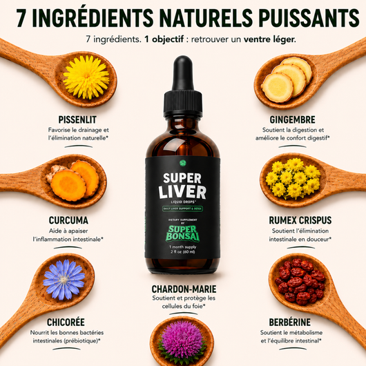 Super Liver | Retrouvez un ventre plat